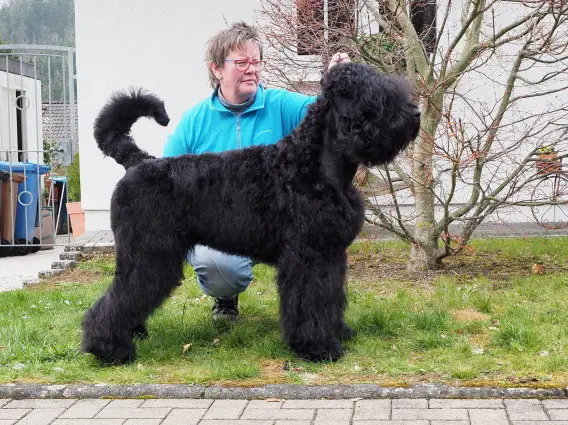 Hund mit Besitzerin